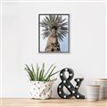 Picture of Palm Perfection _GroupedProduct_Rectangle_Portrait_Photography _GroupedProduct_Rectangle_Portrait_Canvas_Framed_