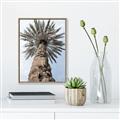 Picture of Palm Perfection _GroupedProduct_Rectangle_Portrait_Photography _GroupedProduct_Rectangle_Portrait_Canvas_Framed_
