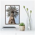Picture of Palm Perfection _GroupedProduct_Rectangle_Portrait_Photography _GroupedProduct_Rectangle_Portrait_Canvas_Framed_