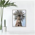 Picture of Palm Perfection _GroupedProduct_Rectangle_Portrait_Photography _GroupedProduct_Rectangle_Portrait_Canvas_Framed_