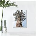 Picture of Palm Perfection _GroupedProduct_Rectangle_Portrait_Photography _GroupedProduct_Rectangle_Portrait_Canvas_Framed_