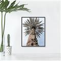 Picture of Palm Perfection _GroupedProduct_Rectangle_Portrait_Photography _GroupedProduct_Rectangle_Portrait_Canvas_Framed_
