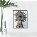 Picture of Palm Perfection _GroupedProduct_Rectangle_Portrait_Photography _GroupedProduct_Rectangle_Portrait_Canvas_Framed_