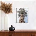 Picture of Palm Perfection _GroupedProduct_Rectangle_Portrait_Photography _GroupedProduct_Rectangle_Portrait_Canvas_Framed_