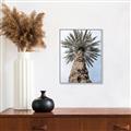 Picture of Palm Perfection _GroupedProduct_Rectangle_Portrait_Photography _GroupedProduct_Rectangle_Portrait_Canvas_Framed_