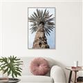 Picture of Palm Perfection _GroupedProduct_Rectangle_Portrait_Photography _GroupedProduct_Rectangle_Portrait_Canvas_Framed_