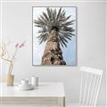 Picture of Palm Perfection _GroupedProduct_Rectangle_Portrait_Photography _GroupedProduct_Rectangle_Portrait_Canvas_Framed_