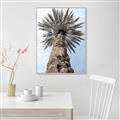 Picture of Palm Perfection _GroupedProduct_Rectangle_Portrait_Photography _GroupedProduct_Rectangle_Portrait_Canvas_Framed_