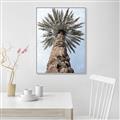 Picture of Palm Perfection _GroupedProduct_Rectangle_Portrait_Photography _GroupedProduct_Rectangle_Portrait_Canvas_Framed_