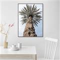 Picture of Palm Perfection _GroupedProduct_Rectangle_Portrait_Photography _GroupedProduct_Rectangle_Portrait_Canvas_Framed_
