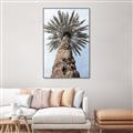 Picture of Palm Perfection _GroupedProduct_Rectangle_Portrait_Photography _GroupedProduct_Rectangle_Portrait_Canvas_Framed_