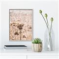 Picture of Macro Dried Florals _GroupedProduct_Rectangle_Portrait_Photography _GroupedProduct_Rectangle_Portrait_Canvas_Framed_