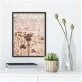 Picture of Macro Dried Florals _GroupedProduct_Rectangle_Portrait_Photography _GroupedProduct_Rectangle_Portrait_Canvas_Framed_