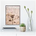 Picture of Macro Dried Florals _GroupedProduct_Rectangle_Portrait_Photography _GroupedProduct_Rectangle_Portrait_Canvas_Framed_