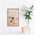 Picture of Macro Dried Florals _GroupedProduct_Rectangle_Portrait_Photography _GroupedProduct_Rectangle_Portrait_Canvas_Framed_