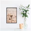 Picture of Macro Dried Florals _GroupedProduct_Rectangle_Portrait_Photography _GroupedProduct_Rectangle_Portrait_Canvas_Framed_