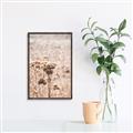 Picture of Macro Dried Florals _GroupedProduct_Rectangle_Portrait_Photography _GroupedProduct_Rectangle_Portrait_Canvas_Framed_