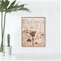 Picture of Macro Dried Florals _GroupedProduct_Rectangle_Portrait_Photography _GroupedProduct_Rectangle_Portrait_Canvas_Framed_