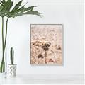 Picture of Macro Dried Florals _GroupedProduct_Rectangle_Portrait_Photography _GroupedProduct_Rectangle_Portrait_Canvas_Framed_