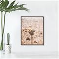 Picture of Macro Dried Florals _GroupedProduct_Rectangle_Portrait_Photography _GroupedProduct_Rectangle_Portrait_Canvas_Framed_