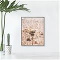 Picture of Macro Dried Florals _GroupedProduct_Rectangle_Portrait_Photography _GroupedProduct_Rectangle_Portrait_Canvas_Framed_