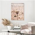 Picture of Macro Dried Florals _GroupedProduct_Rectangle_Portrait_Photography _GroupedProduct_Rectangle_Portrait_Canvas_Framed_