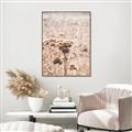 Picture of Macro Dried Florals _GroupedProduct_Rectangle_Portrait_Photography _GroupedProduct_Rectangle_Portrait_Canvas_Framed_