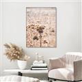 Picture of Macro Dried Florals _GroupedProduct_Rectangle_Portrait_Photography _GroupedProduct_Rectangle_Portrait_Canvas_Framed_