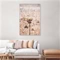 Picture of Macro Dried Florals _GroupedProduct_Rectangle_Portrait_Photography _GroupedProduct_Rectangle_Portrait_Canvas_Framed_