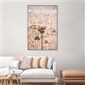 Picture of Macro Dried Florals _GroupedProduct_Rectangle_Portrait_Photography _GroupedProduct_Rectangle_Portrait_Canvas_Framed_