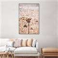 Picture of Macro Dried Florals _GroupedProduct_Rectangle_Portrait_Photography _GroupedProduct_Rectangle_Portrait_Canvas_Framed_