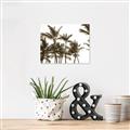 Picture of Cali Palms Sepia Collection _GroupedProduct_Rectangle_Landscape_Photography _GroupedProduct_Rectangle_Landscape_Unframed_Print_Only_