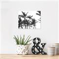 Picture of Cali Palms Sepia Collection _GroupedProduct_Rectangle_Landscape_Photography _GroupedProduct_Rectangle_Landscape_Unframed_Print_Only_