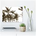 Picture of Cali Palms Sepia Collection _GroupedProduct_Rectangle_Landscape_Photography _GroupedProduct_Rectangle_Landscape_Unframed_Print_Only_