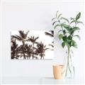 Picture of Cali Palms Sepia Collection _GroupedProduct_Rectangle_Landscape_Photography _GroupedProduct_Rectangle_Landscape_Unframed_Print_Only_