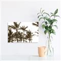 Picture of Cali Palms Sepia Collection _GroupedProduct_Rectangle_Landscape_Photography _GroupedProduct_Rectangle_Landscape_Unframed_Print_Only_