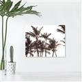 Picture of Cali Palms Sepia Collection _GroupedProduct_Rectangle_Landscape_Photography _GroupedProduct_Rectangle_Landscape_Unframed_Print_Only_