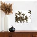 Picture of Cali Palms Sepia Collection _GroupedProduct_Rectangle_Landscape_Photography _GroupedProduct_Rectangle_Landscape_Unframed_Print_Only_