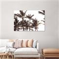 Picture of Cali Palms Sepia Collection _GroupedProduct_Rectangle_Landscape_Photography _GroupedProduct_Rectangle_Landscape_Unframed_Print_Only_