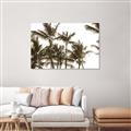 Picture of Cali Palms Sepia Collection _GroupedProduct_Rectangle_Landscape_Photography _GroupedProduct_Rectangle_Landscape_Unframed_Print_Only_