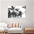 Picture of Cali Palms Sepia Collection _GroupedProduct_Rectangle_Landscape_Photography _GroupedProduct_Rectangle_Landscape_Unframed_Print_Only_