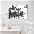 Picture of Cali Palms Sepia Collection _GroupedProduct_Rectangle_Landscape_Photography _GroupedProduct_Rectangle_Landscape_Unframed_Print_Only_