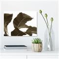 Picture of Plant Bliss _GroupedProduct_Rectangle_Landscape_Photography _GroupedProduct_Rectangle_Landscape_Unframed_Print_Only_