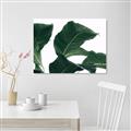 Picture of Plant Bliss _GroupedProduct_Rectangle_Landscape_Photography _GroupedProduct_Rectangle_Landscape_Unframed_Print_Only_