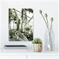 Picture of Greenhouse Serenity  _GroupedProduct_Rectangle_Portrait_Photography _GroupedProduct_Rectangle_Portrait_Unframed_Print_Only_