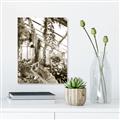 Picture of Greenhouse Serenity  _GroupedProduct_Rectangle_Portrait_Photography _GroupedProduct_Rectangle_Portrait_Unframed_Print_Only_