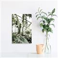 Picture of Greenhouse Serenity  _GroupedProduct_Rectangle_Portrait_Photography _GroupedProduct_Rectangle_Portrait_Unframed_Print_Only_