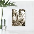 Picture of Greenhouse Serenity  _GroupedProduct_Rectangle_Portrait_Photography _GroupedProduct_Rectangle_Portrait_Unframed_Print_Only_