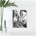 Picture of Greenhouse Serenity  _GroupedProduct_Rectangle_Portrait_Photography _GroupedProduct_Rectangle_Portrait_Unframed_Print_Only_