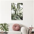 Picture of Greenhouse Serenity  _GroupedProduct_Rectangle_Portrait_Photography _GroupedProduct_Rectangle_Portrait_Unframed_Print_Only_